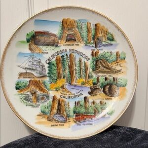 Vintage California Redwoods Scenic Ceramic Plate
